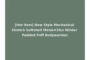 [Hot Item] New Style Mechanical Stretch Softshell Men's Winter Padded Puff Bodywarmer