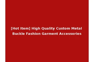 [Hot Item] High Quality Custom Metal Buckle Fashion Garment Accessories