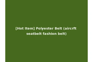 [Hot Item] Polyester Belt (aircrft seatbelt fashion belt)