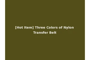 [Hot Item] Three Colors of Nylon Transfer Belt