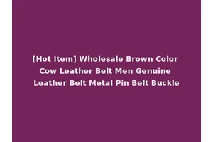[Hot Item] Wholesale Brown Color Cow Leather Belt Men Genuine Leather Belt Metal Pin Belt Buckle