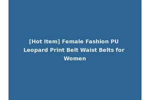[Hot Item] Female Fashion PU Leopard Print Belt Waist Belts for Women