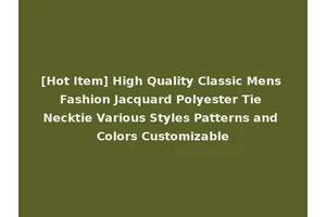 [Hot Item] High Quality Classic Mens Fashion Jacquard Polyester Tie Necktie Various Styles Patterns and Colors Customizable
