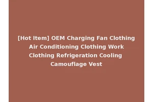 [Hot Item] OEM Charging Fan Clothing Air Conditioning Clothing Work Clothing Refrigeration Cooling Camouflage Vest