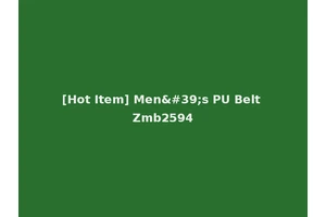 [Hot Item] Men's PU Belt Zmb2594