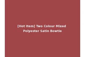 [Hot Item] Two Colour Mixed Polyester Satin Bowtie
