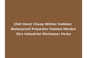 [Hot Item] Cheap Winter Outdoor Waterproof Polyester Padded Men's Industrial Workwear Parka