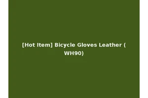 [Hot Item] Bicycle Gloves Leather (WH90)