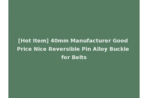 [Hot Item] 40mm Manufacturer Good Price Nice Reversible Pin Alloy Buckle for Belts