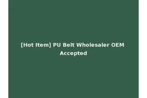 [Hot Item] PU Belt Wholesaler OEM Accepted