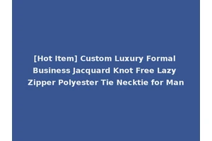 [Hot Item] Custom Luxury Formal Business Jacquard Knot Free Lazy Zipper Polyester Tie Necktie for Man