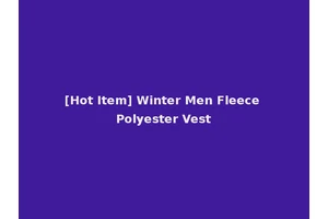 [Hot Item] Winter Men Fleece Polyester Vest