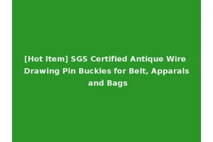 [Hot Item] SGS Certified Antique Wire Drawing Pin Buckles for Belt, Apparals and Bags