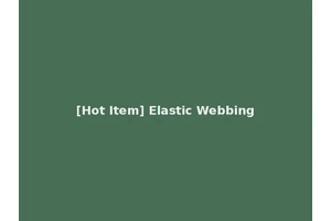[Hot Item] Elastic Webbing