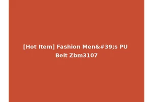 [Hot Item] Fashion Men's PU Belt Zbm3107