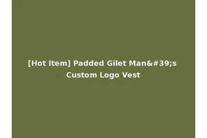 [Hot Item] Padded Gilet Man's Custom Logo Vest