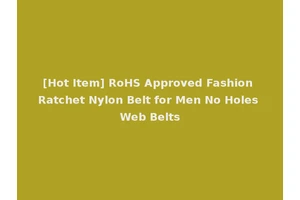 [Hot Item] RoHS Approved Fashion Ratchet Nylon Belt for Men No Holes Web Belts