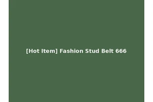 [Hot Item] Fashion Stud Belt 666