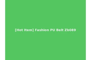 [Hot Item] Fashion PU Belt Zb089