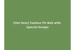 [Hot Item] Fashion PU Belt with Special Design