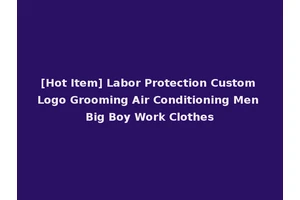 [Hot Item] Labor Protection Custom Logo Grooming Air Conditioning Men Big Boy Work Clothes