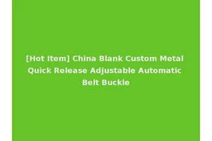 [Hot Item] China Blank Custom Metal Quick Release Adjustable Automatic Belt Buckle