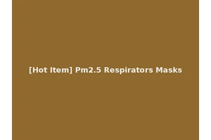 [Hot Item] Pm2.5 Respirators Masks