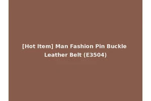 [Hot Item] Man Fashion Pin Buckle Leather Belt (E3504)