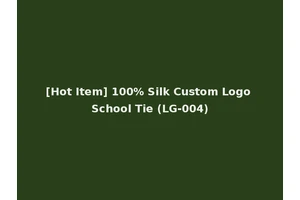 [Hot Item] 100% Silk Custom Logo School Tie (LG-004)