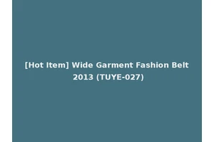 [Hot Item] Wide Garment Fashion Belt 2013 (TUYE-027)