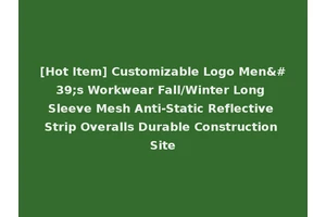 [Hot Item] Customizable Logo Men's Workwear Fall/Winter Long Sleeve Mesh Anti-Static Reflective Strip Overalls Durable Construction Site