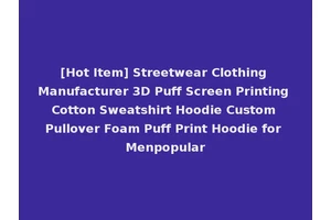[Hot Item] Streetwear Clothing Manufacturer 3D Puff Screen Printing Cotton Sweatshirt Hoodie Custom Pullover Foam Puff Print Hoodie for Menpopular