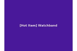 [Hot Item] Watchband