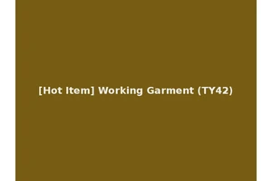 [Hot Item] Working Garment (TY42)