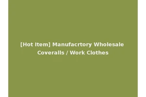 [Hot Item] Manufacrtory Wholesale Coveralls / Work Clothes