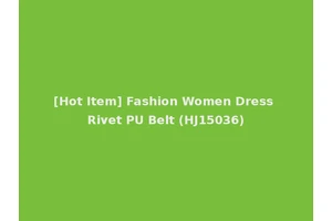 [Hot Item] Fashion Women Dress Rivet PU Belt (HJ15036)