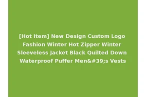 [Hot Item] New Design Custom Logo Fashion Winter Hot Zipper Winter Sleeveless Jacket Black Quilted Down Waterproof Puffer Men's Vests