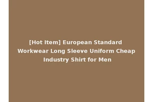 [Hot Item] European Standard Workwear Long Sleeve Uniform Cheap Industry Shirt for Men