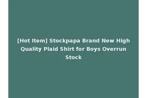 [Hot Item] Stockpapa Brand New High Quality Plaid Shirt for Boys Overrun Stock