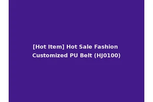 [Hot Item] Hot Sale Fashion Customized PU Belt (HJ0100)