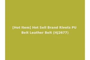 [Hot Item] Hot Sell Brand Rivets PU Belt Leather Belt (HJ2677)