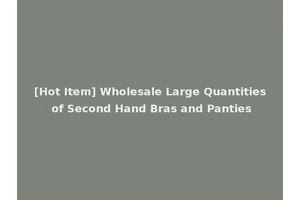 [Hot Item] Wholesale Large Quantities of Second Hand Bras and Panties