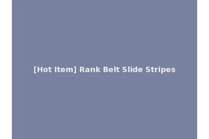 [Hot Item] Rank Belt Slide Stripes