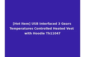[Hot Item] USB Interfaced 3 Gears Temperatures Controlled Heated Vest with Hoodie Th11047