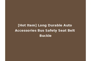[Hot Item] Long Durable Auto Accessories Bus Safety Seat Belt Buckle