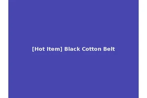 [Hot Item] Black Cotton Belt