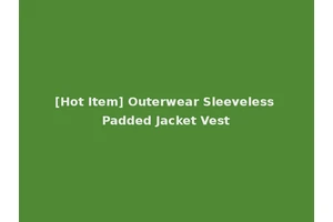 [Hot Item] Outerwear Sleeveless Padded Jacket Vest