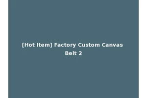 [Hot Item] Factory Custom Canvas Belt 2