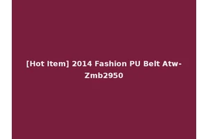 [Hot Item] 2014 Fashion PU Belt Atw-Zmb2950