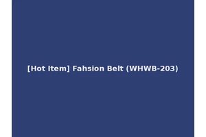 [Hot Item] Fahsion Belt (WHWB-203)